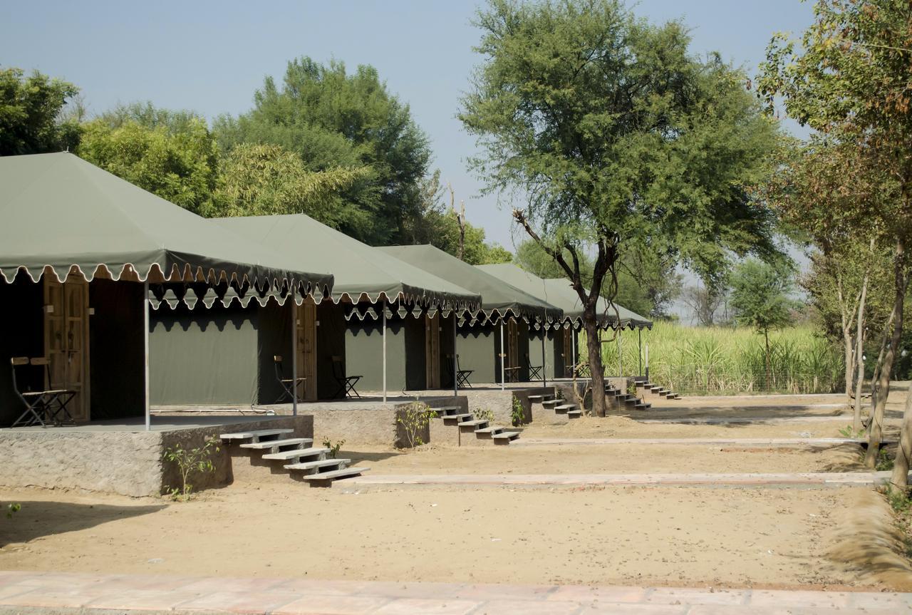Kanota Camp Hotel Jaipur Exterior photo
